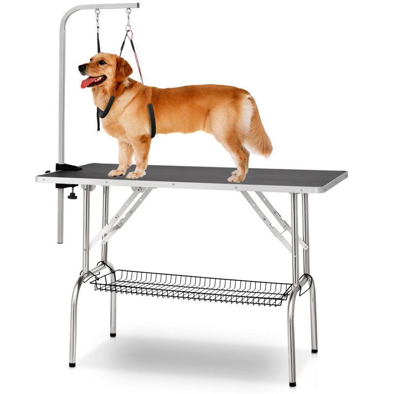 MoNiBloom Folding Pet Grooming Table Adjustable Arm Noose Dog Cat Trimming Drying Desk Wayfair